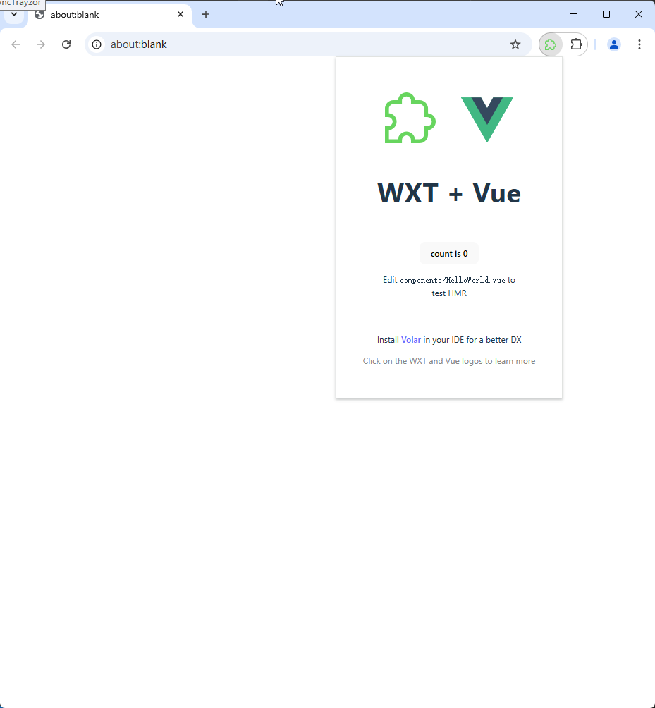 WXT 浏览器扩展开发工具截图